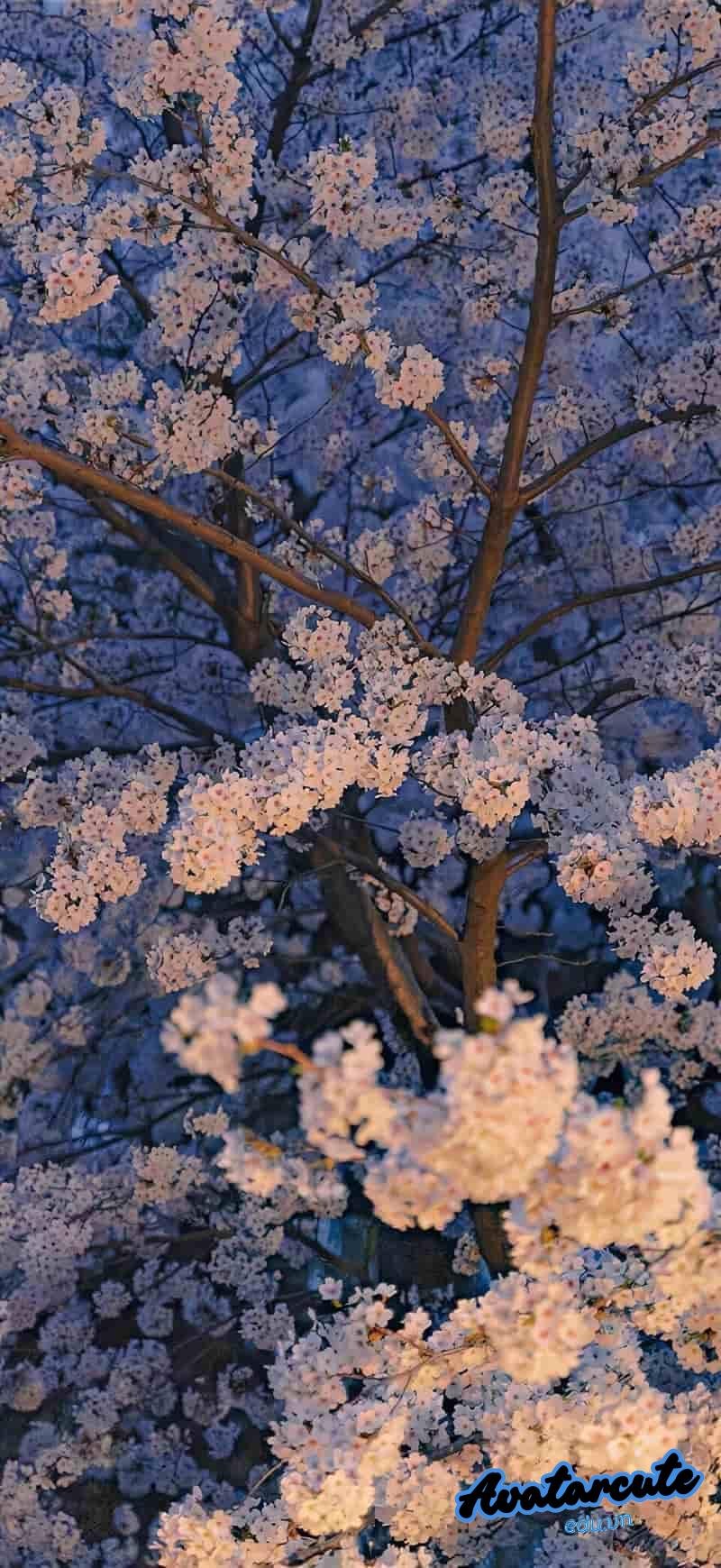 Bộ hình nền 3D đẹp nhất thế giới cuốn hút