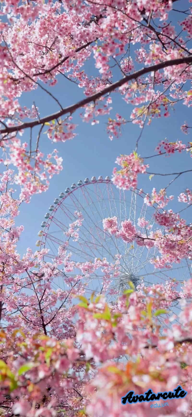 Bộ hình nền 3D đẹp nhất thế giới sắc nét