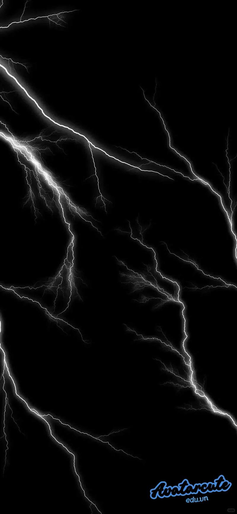 Bộ hình nền 4D thu hút