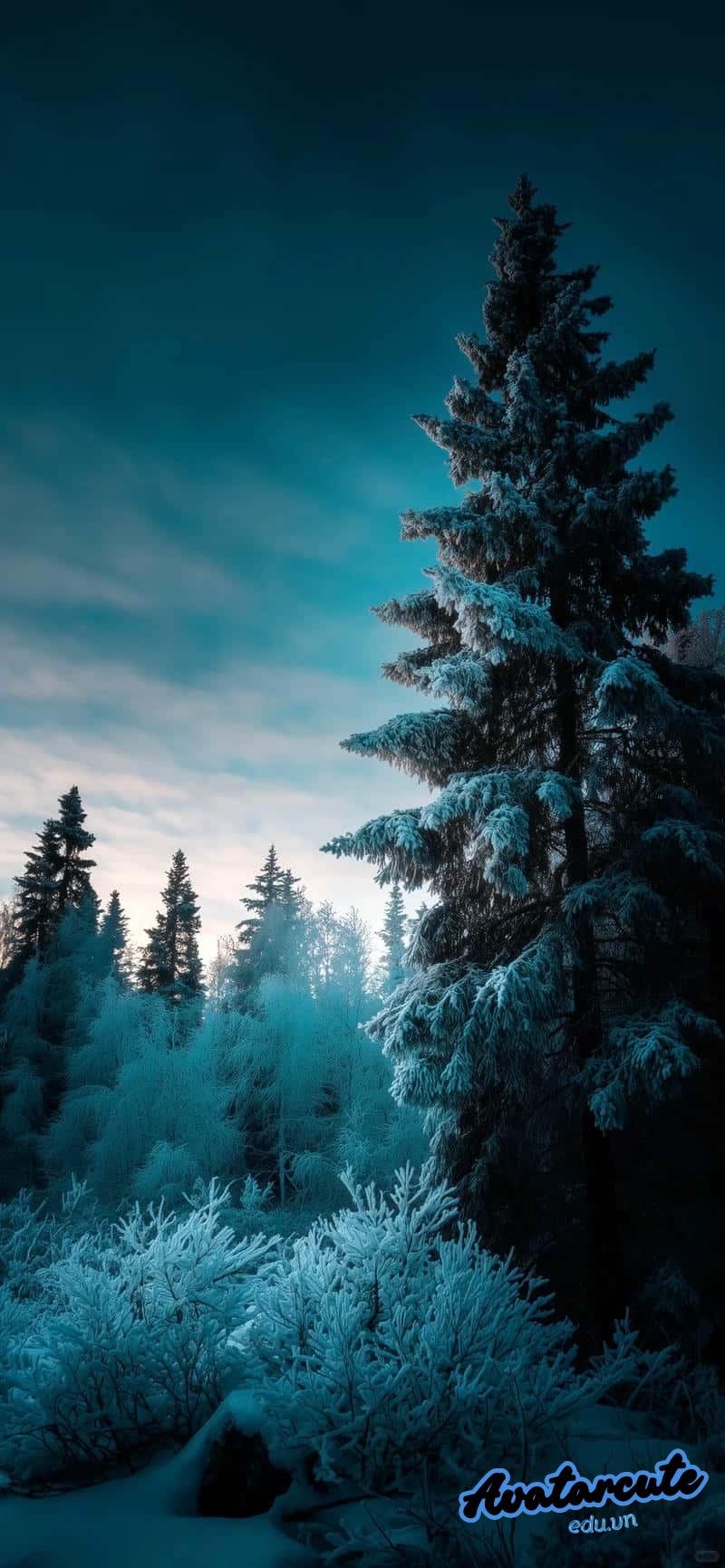 Bộ hình nền 8k sắc nét