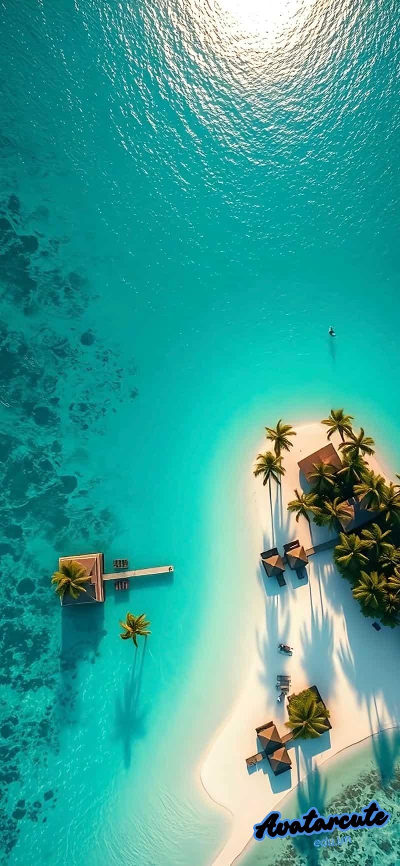 Bộ hình nền 8k thu hút