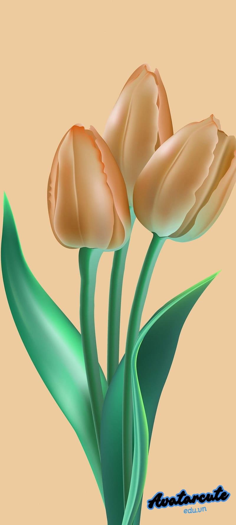 Bộ hình nền android sắc nét