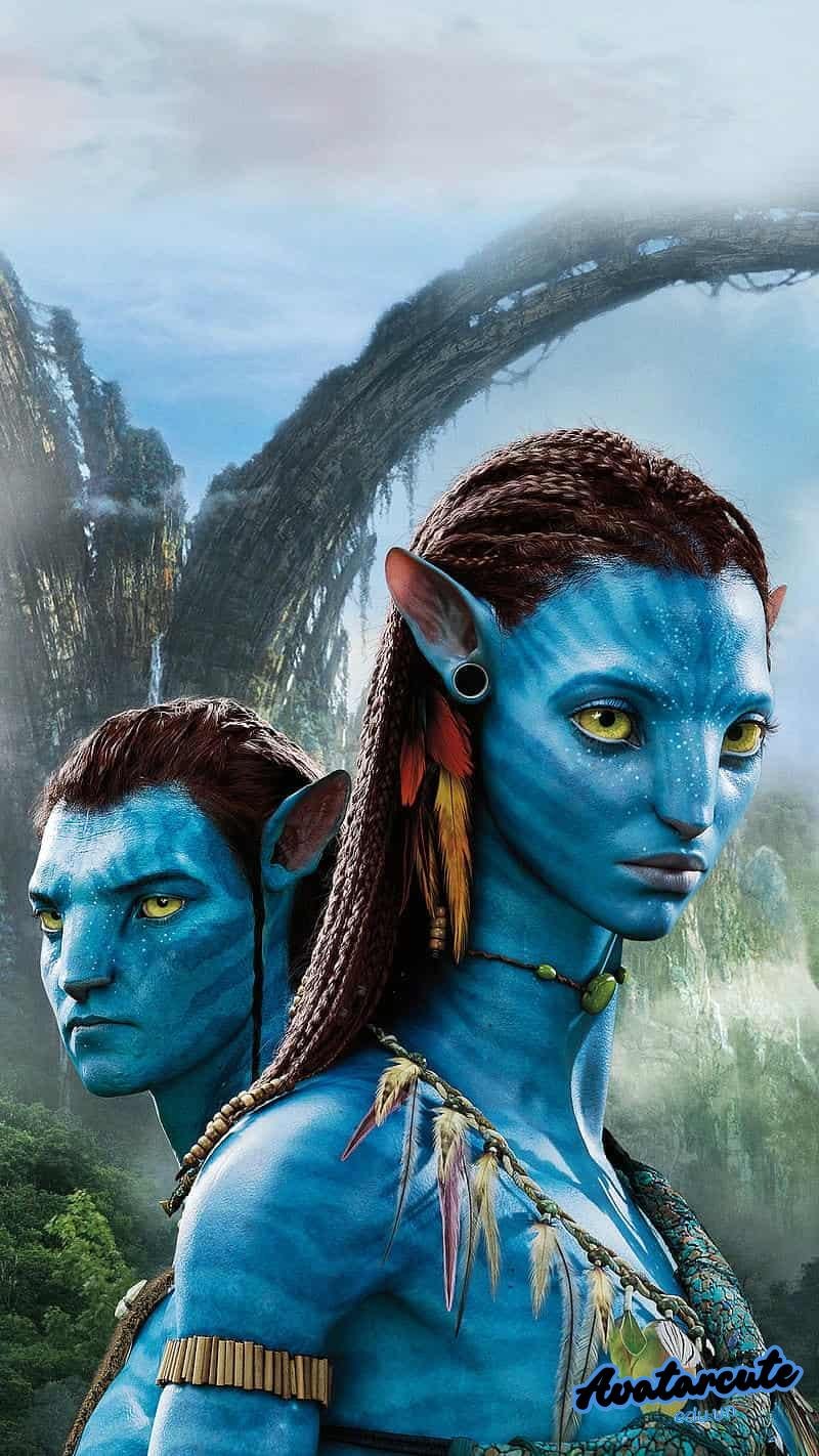 Bộ hình nền avatar đẹp sắc nét