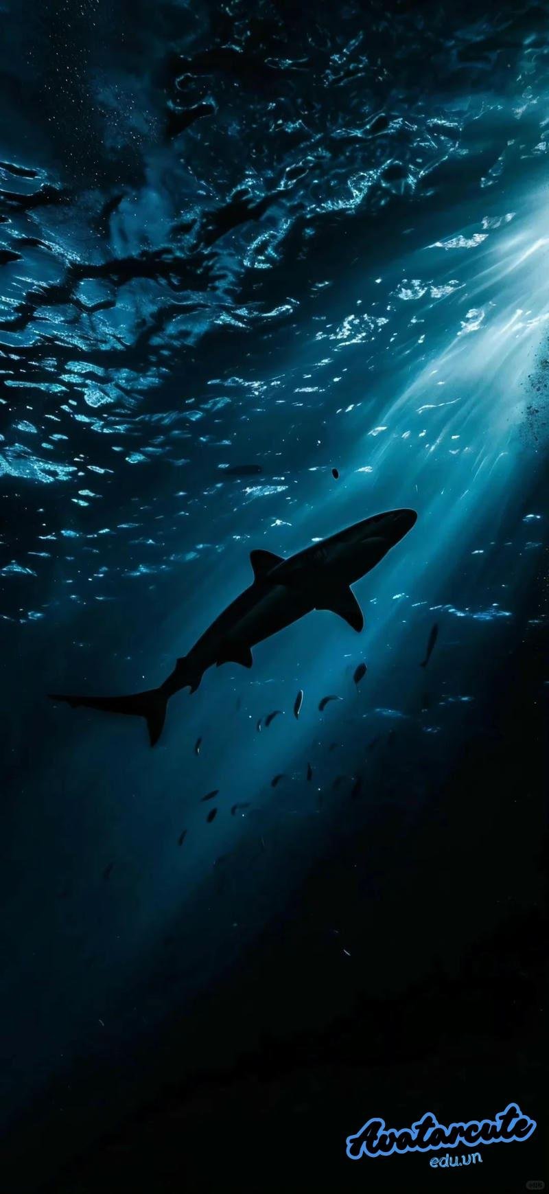 Bộ sưu tập hình nền 3D đẹp nhất thế giới mới nhất