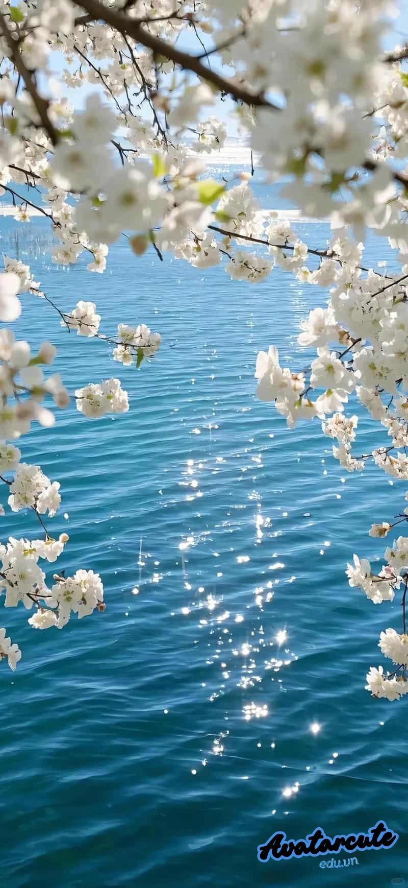 Bộ sưu tập hình nền 3D đẹp nhất thế giới mới