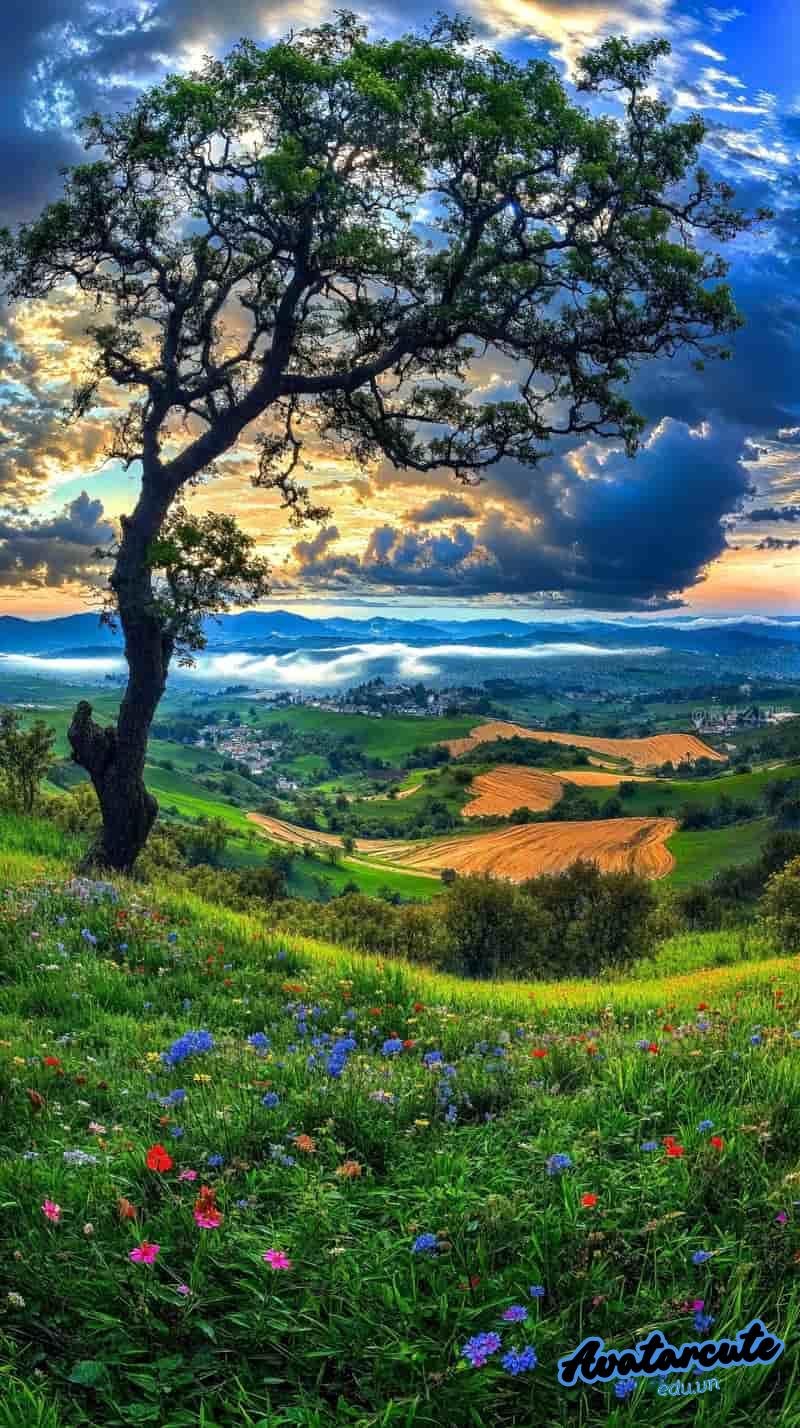 Bộ sưu tập hình nền 5D đẹp nhất