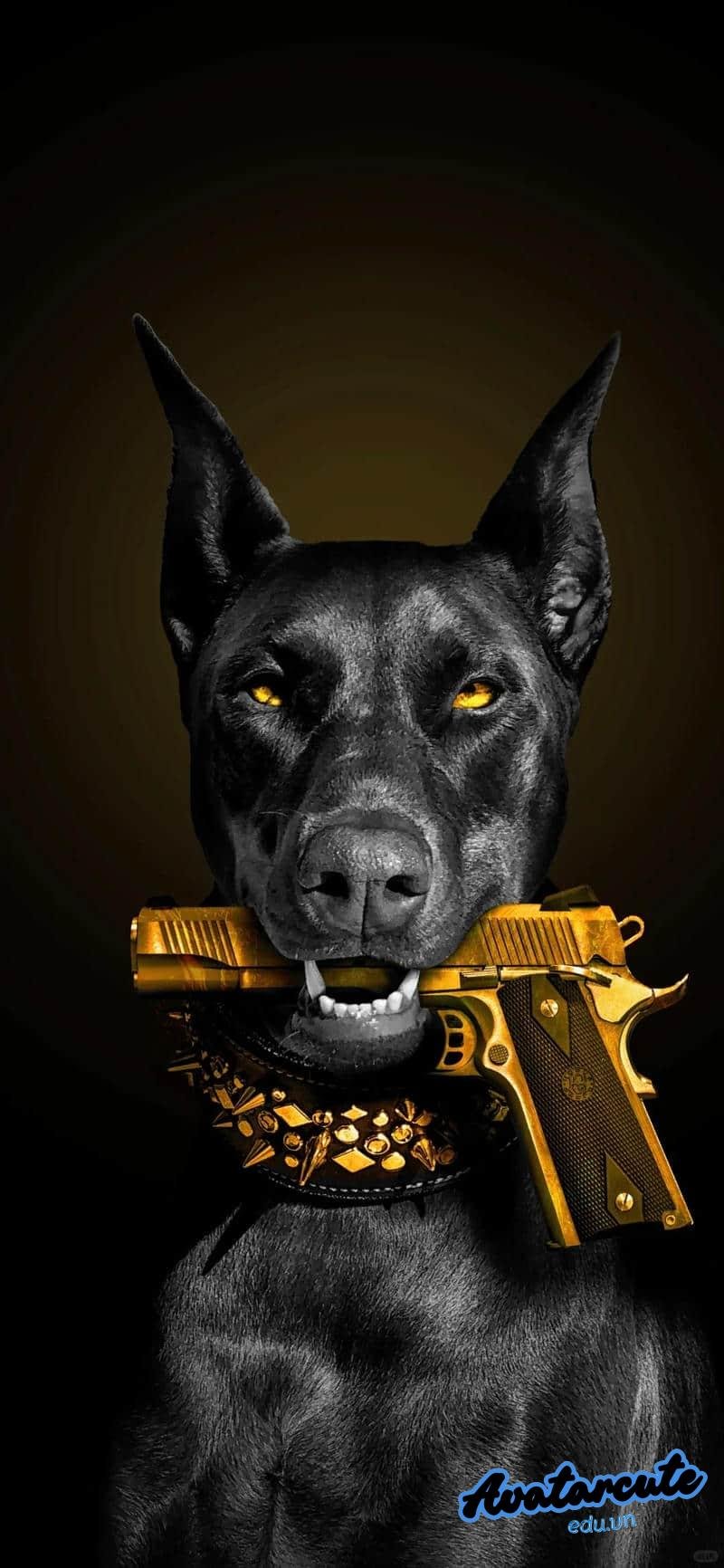 Bộ sưu tập hình nền 8k đẹp