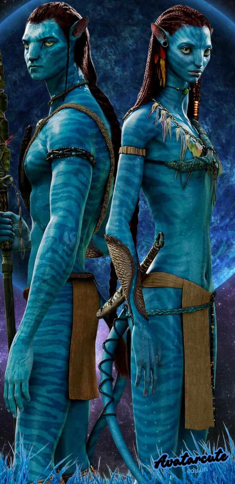 Bộ sưu tập hình nền avatar đẹp mới