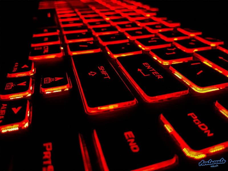 Bộ sưu tập hình nền bàn phím đẹp