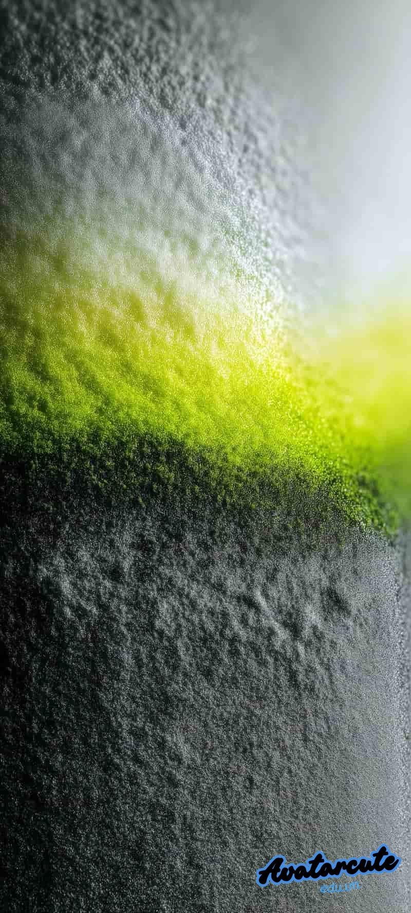 Khám phá hình nền 8k cuốn hút