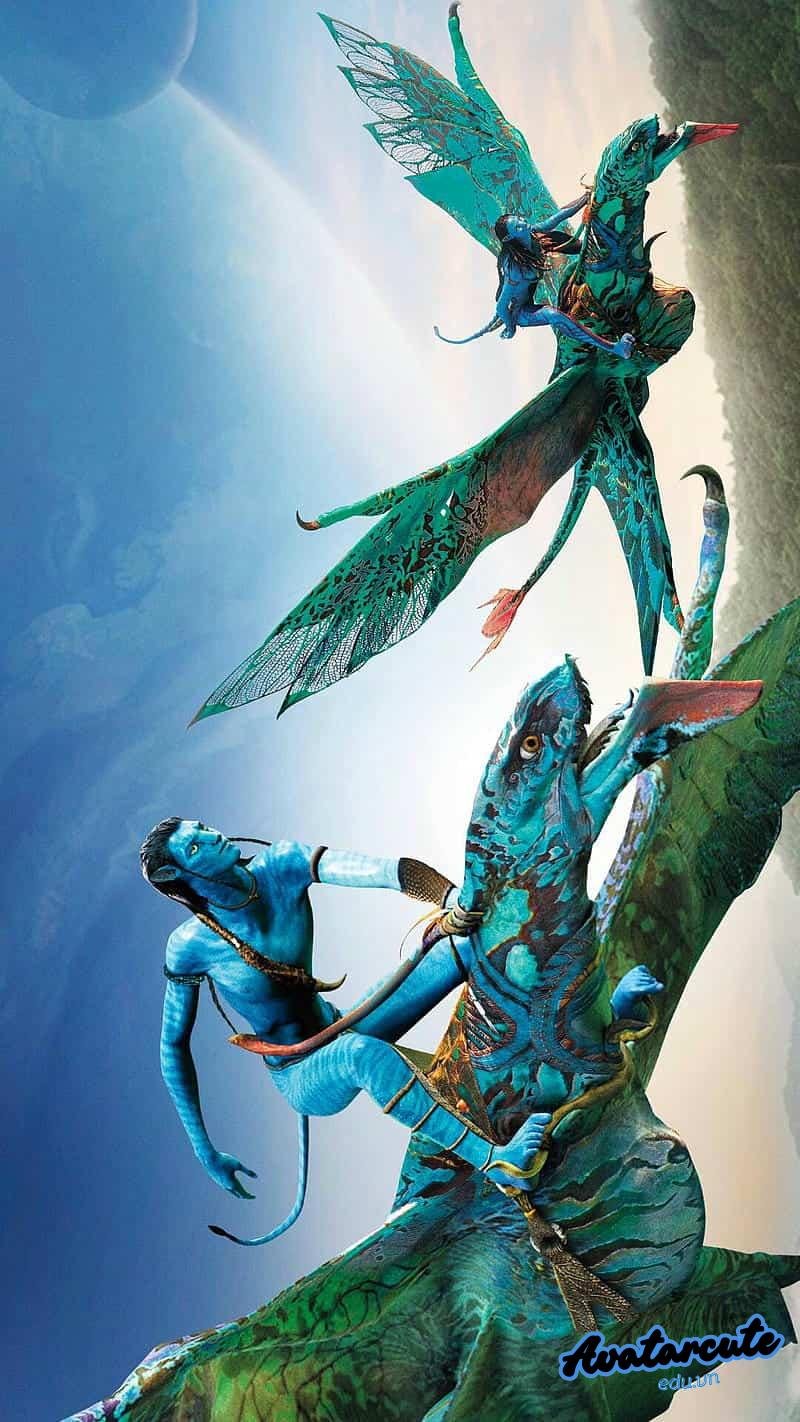 Khám phá hình nền avatar đẹp cuốn hút