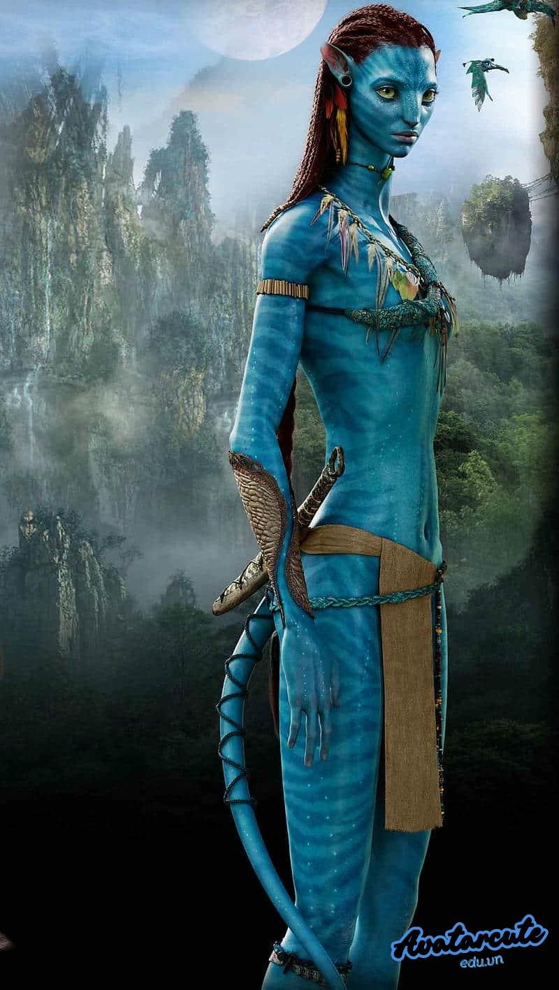 Khám phá kho hình nền avatar đẹp mới nhất