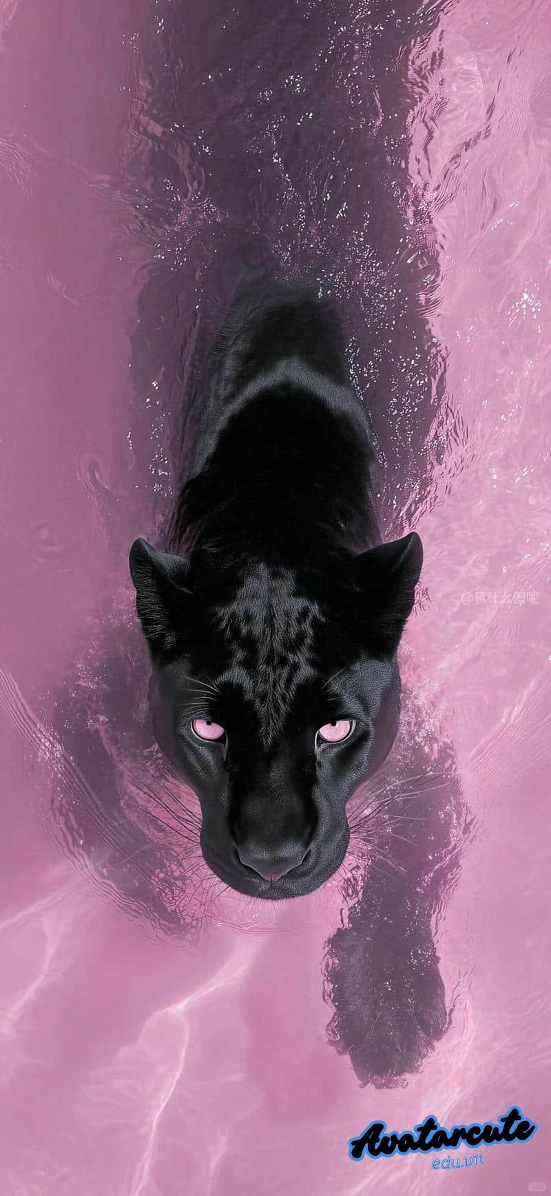 Kho ảnh hình nền 5D miễn phí