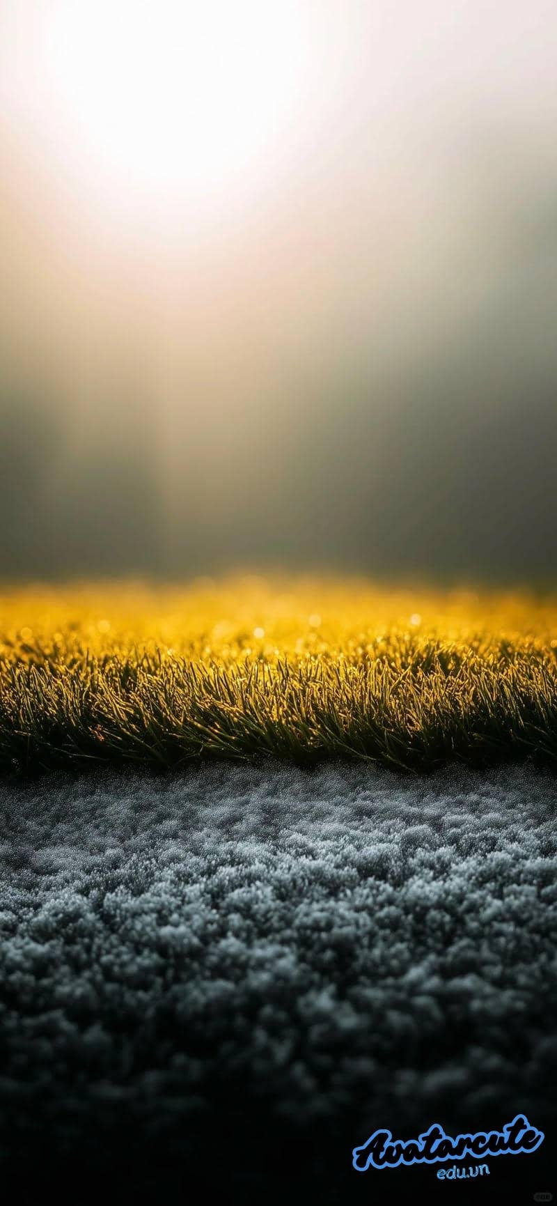 Kho ảnh hình nền 8k miễn phí