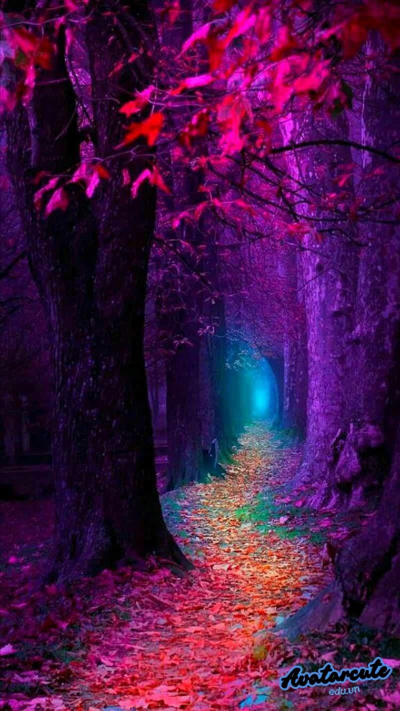 Kho ảnh hình nền ảo miễn phí