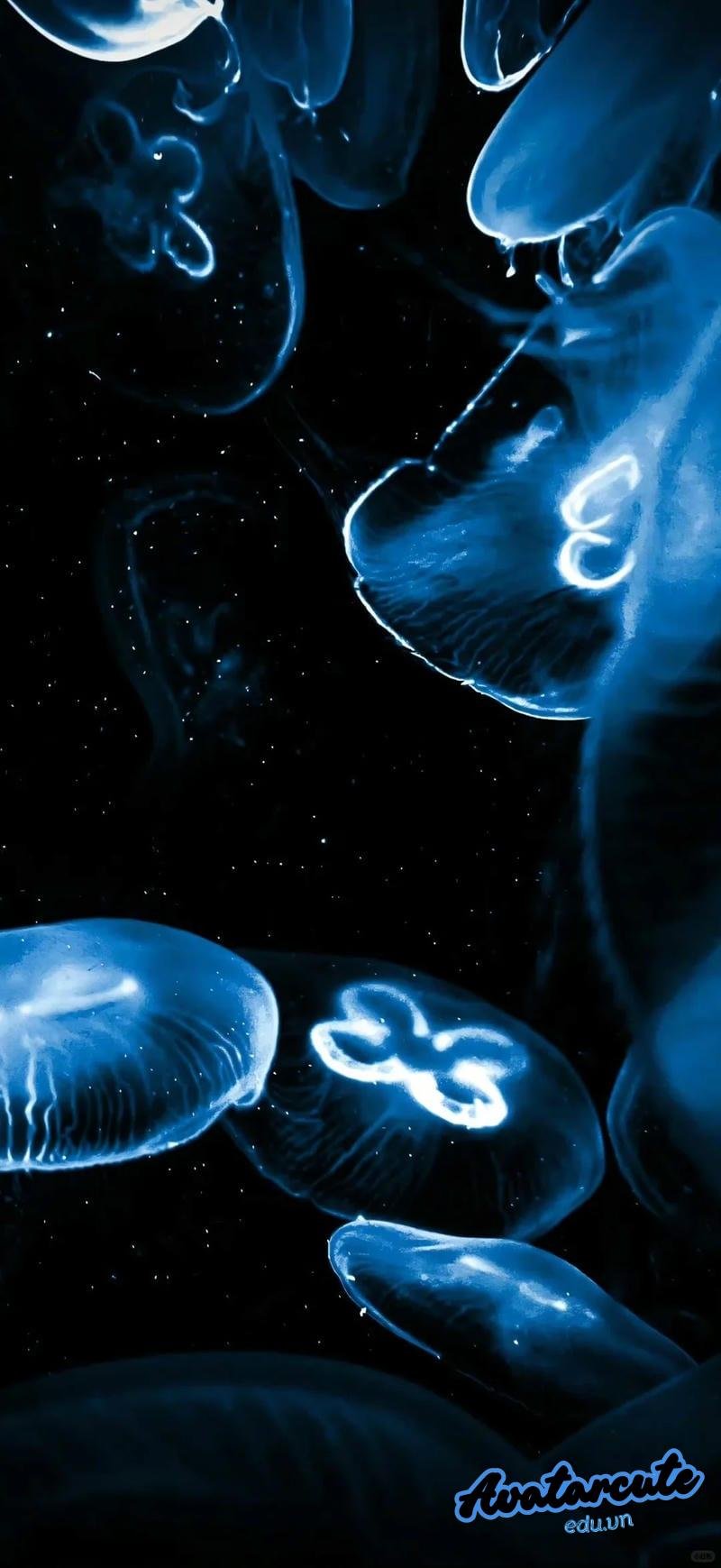 Kho hình nền 3D đẹp nhất thế giới chất lượng