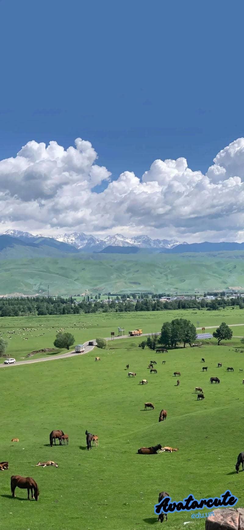 Loạt hình nền 4D chất lượng nhất