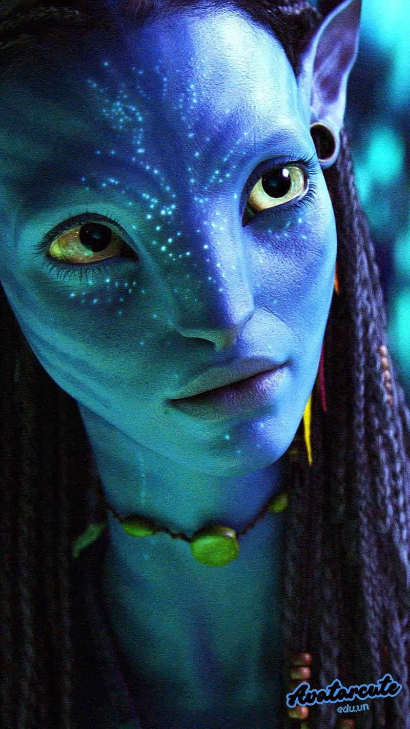 Loạt hình nền avatar đẹp cuốn hút