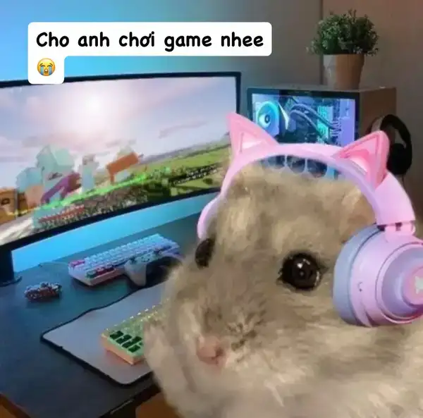 Meme Hamster chơi game