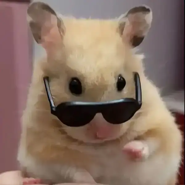 Meme Hamster đeo kính