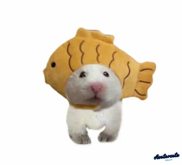 Meme Hamster đội cá