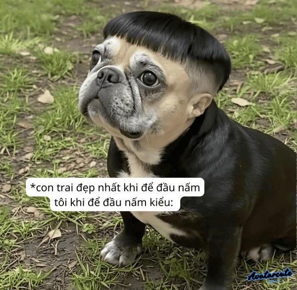 Meme hài buồn cười