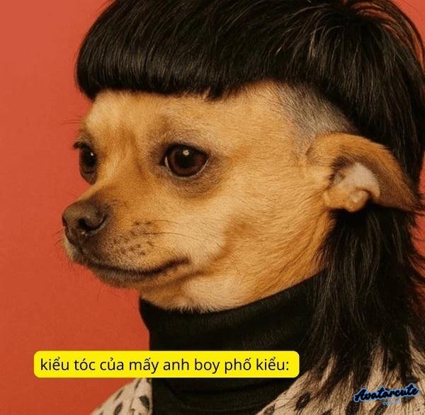 Meme hài chuyện tóc tai