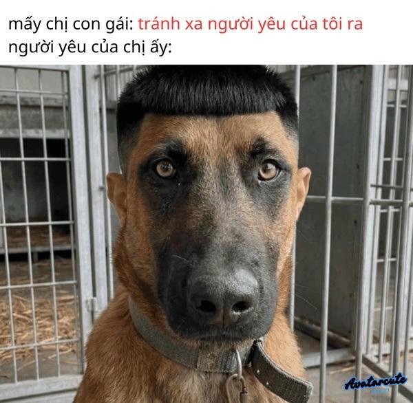 Meme hài chuyện yêu đương