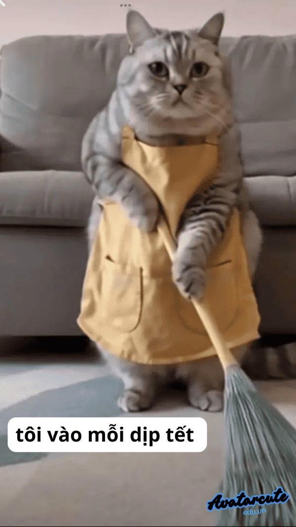 Meme hài dọn dẹp