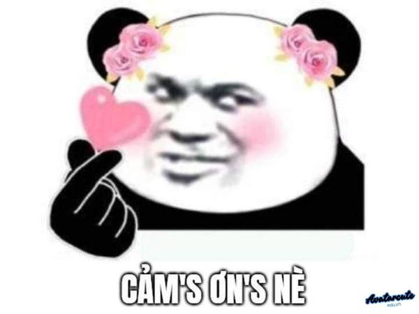 Meme hay cảm ơn