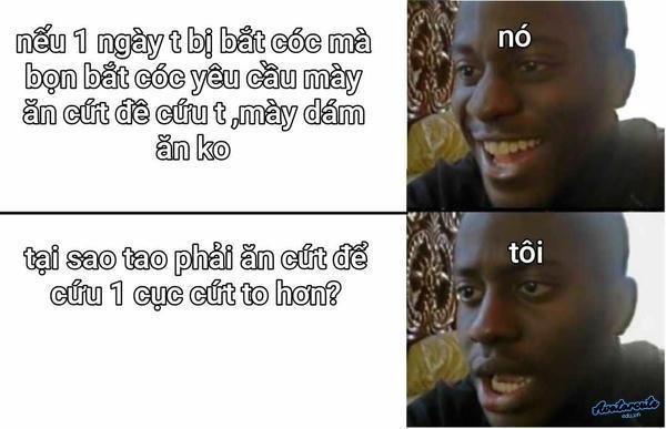 Meme hay cười xỉu