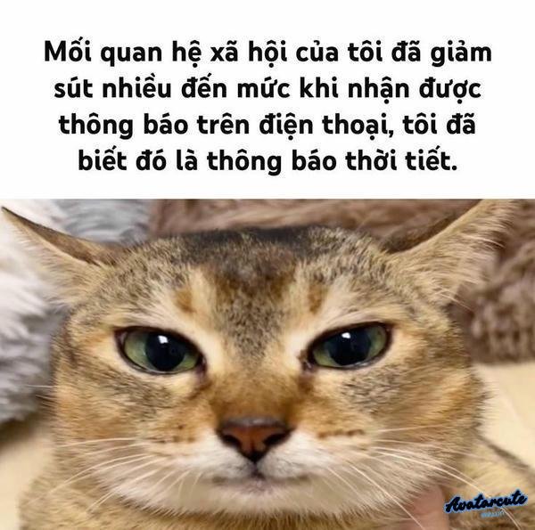 Meme hay hài bựa