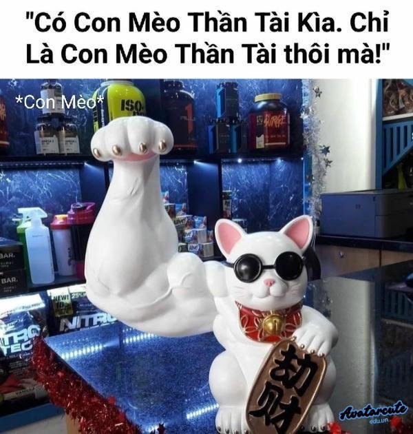 Meme hay mèo thần tài