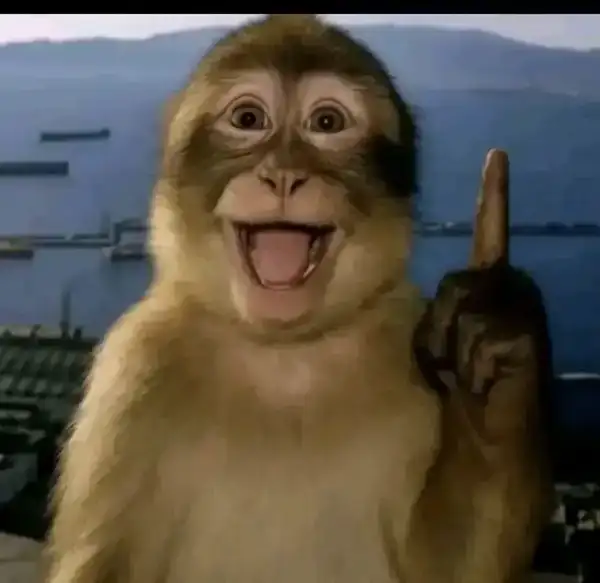 Meme meme khỉ