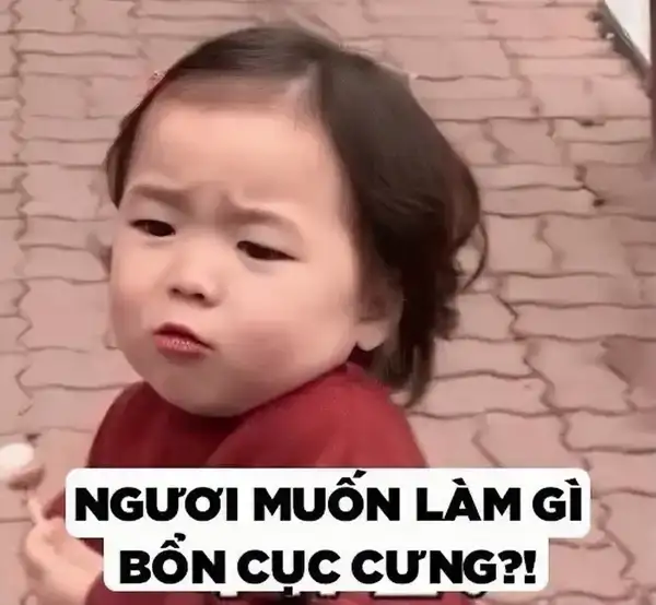 Meme thách thức