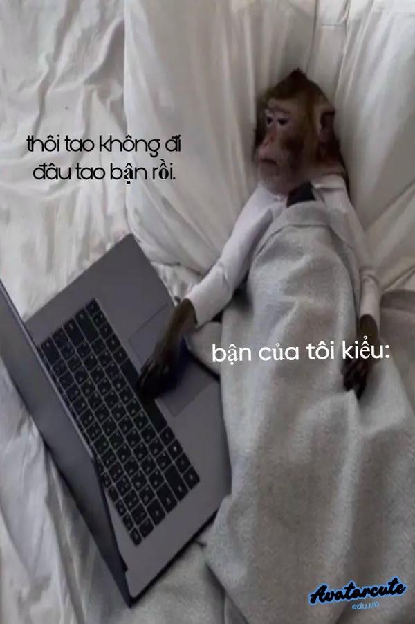 Meme trốn đi chơi