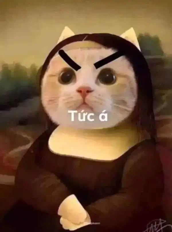 Meme tức