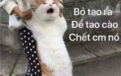 Meme tức giận