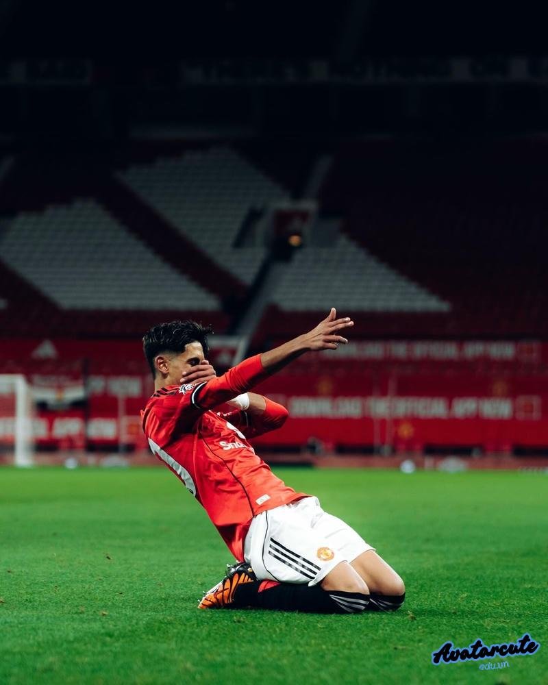 Ngắm bộ avatar mu chất lượng cao