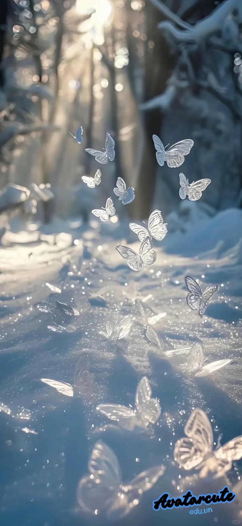 Ngắm bộ hình nền 3D 4k chất lượng cao