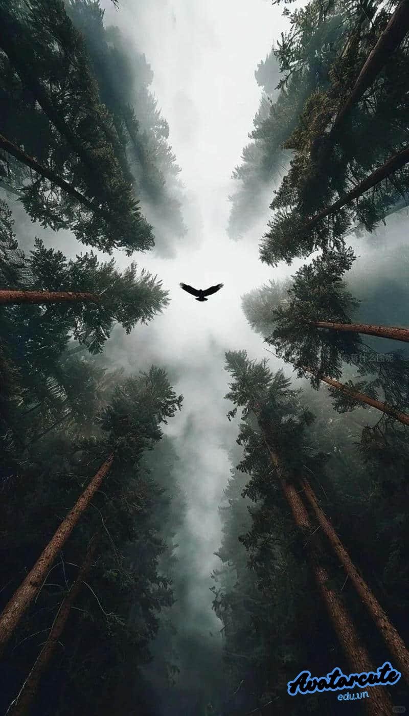 Ngắm bộ hình nền 5D chất lượng cao