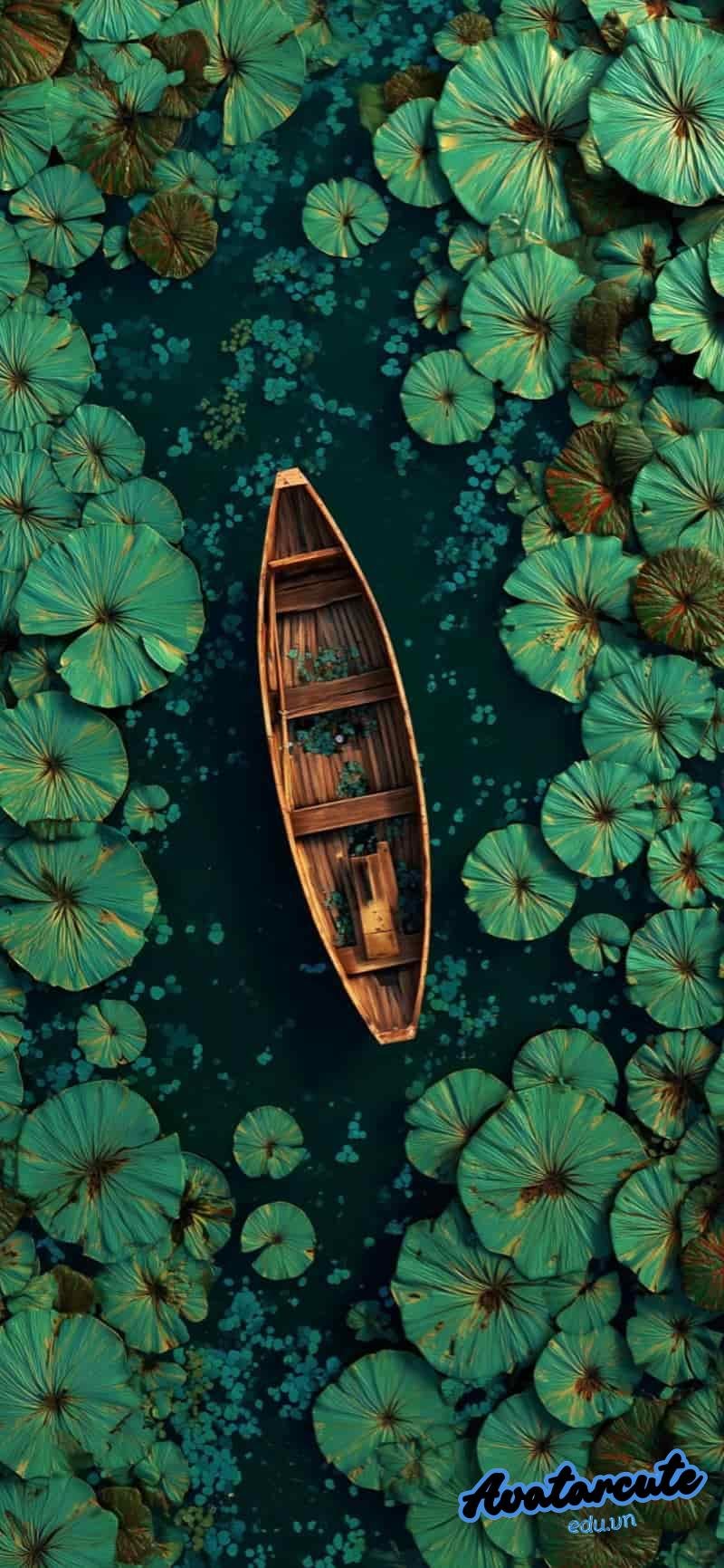 Ngắm bộ hình nền 8k chất lượng cao