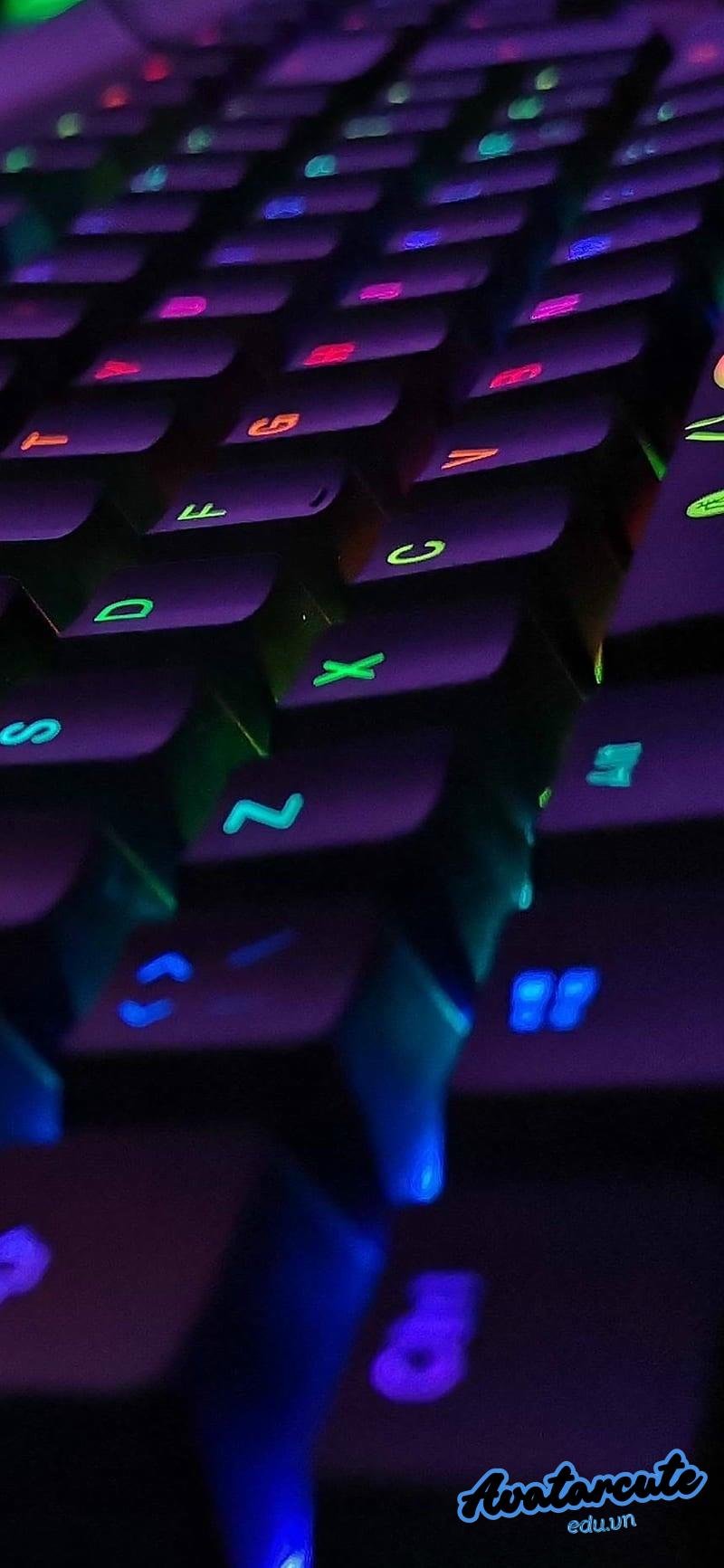Ngắm bộ hình nền bàn phím chất lượng cao