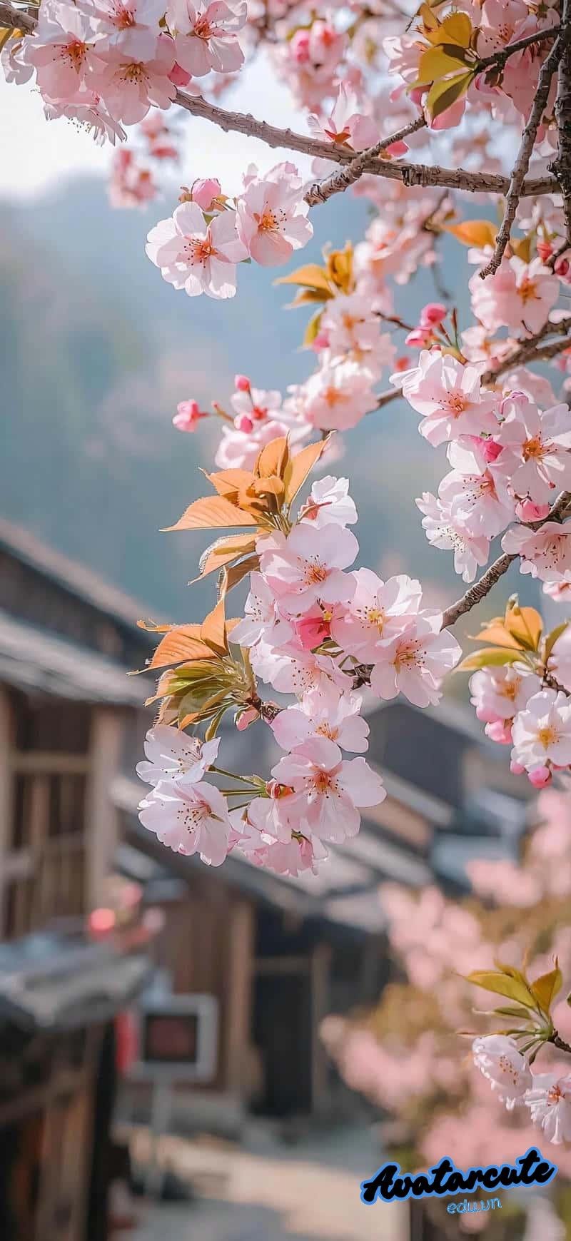 Ngắm hình nền 3D đẹp nhất thế giới thu hút