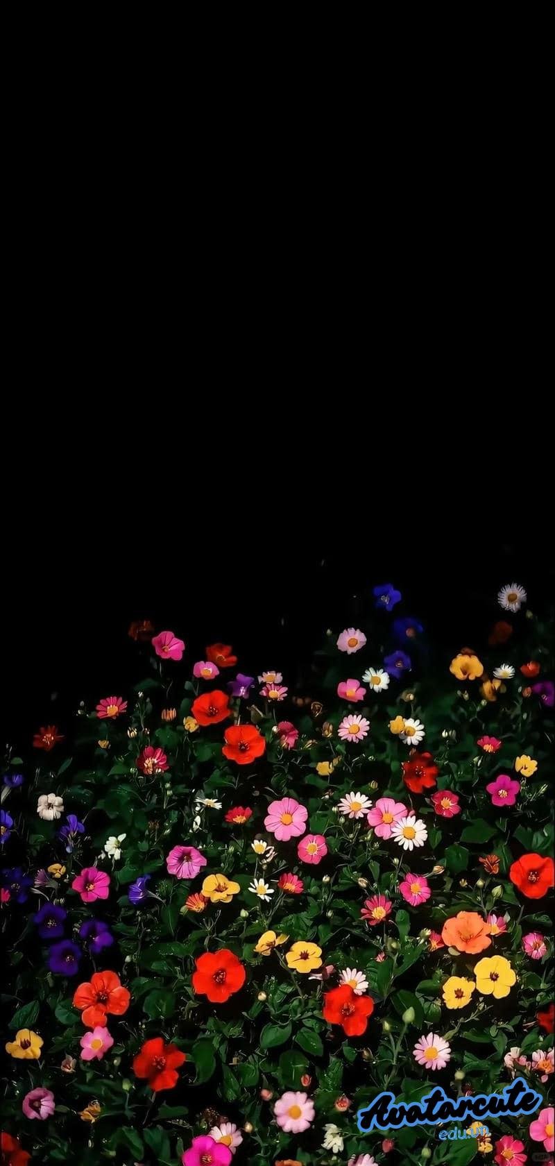 Ngắm hình nền 4D mới nhất