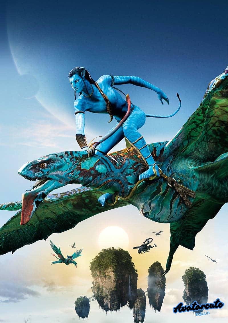 Ngắm hình nền avatar đẹp miễn phí