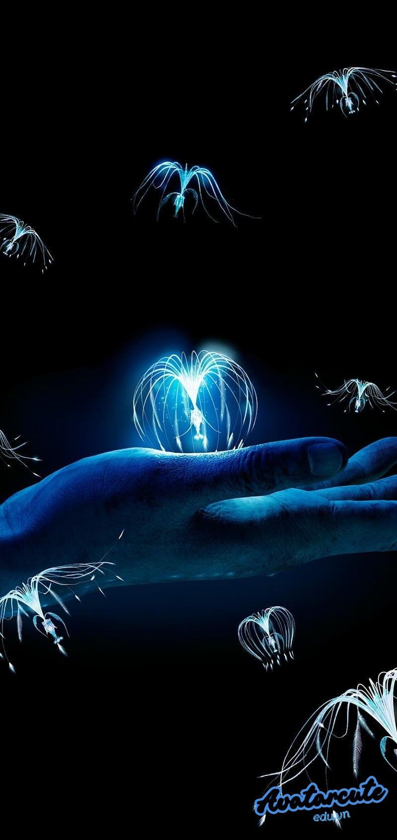 Ngắm hình nền avatar đẹp mới nhất