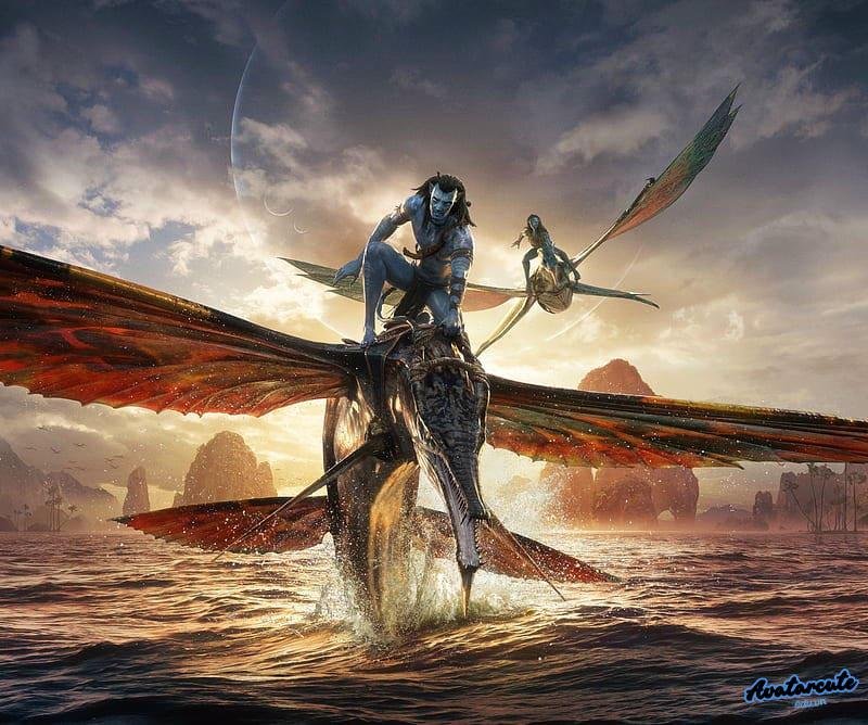 Ngắm hình nền avatar đẹp thu hút