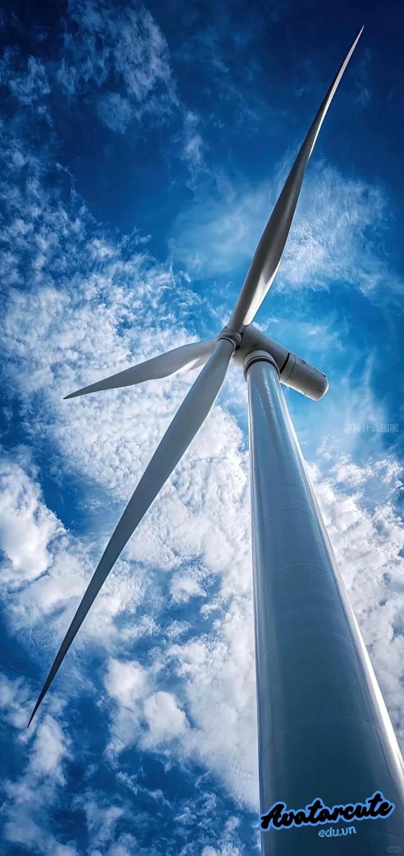 Tải ảnh hình nền 5D độc quyền