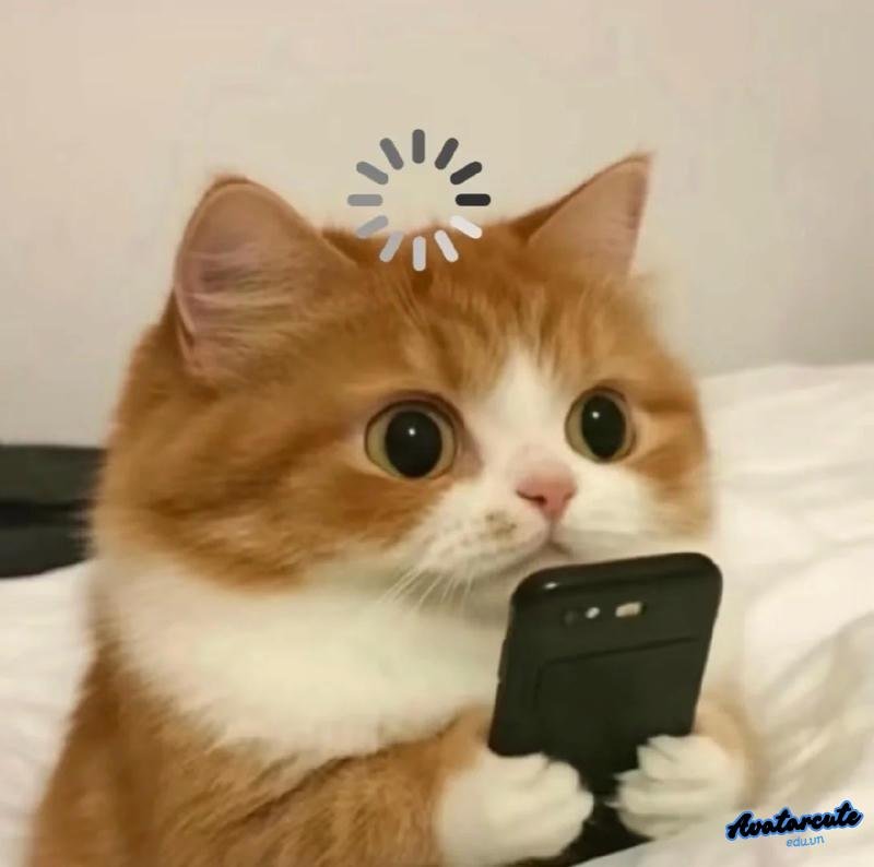 Tải bộ avatar memes mới nhất